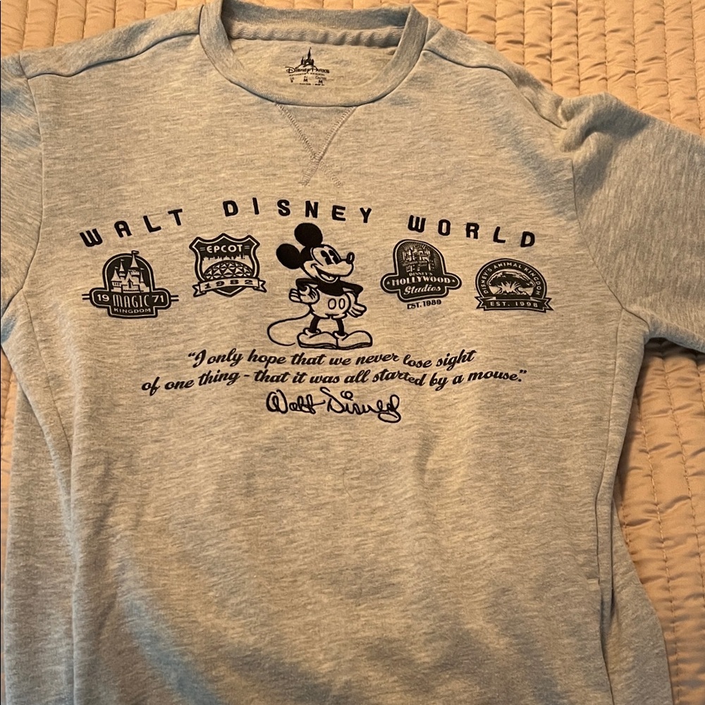 Disney Parks Gray Sweatshirt